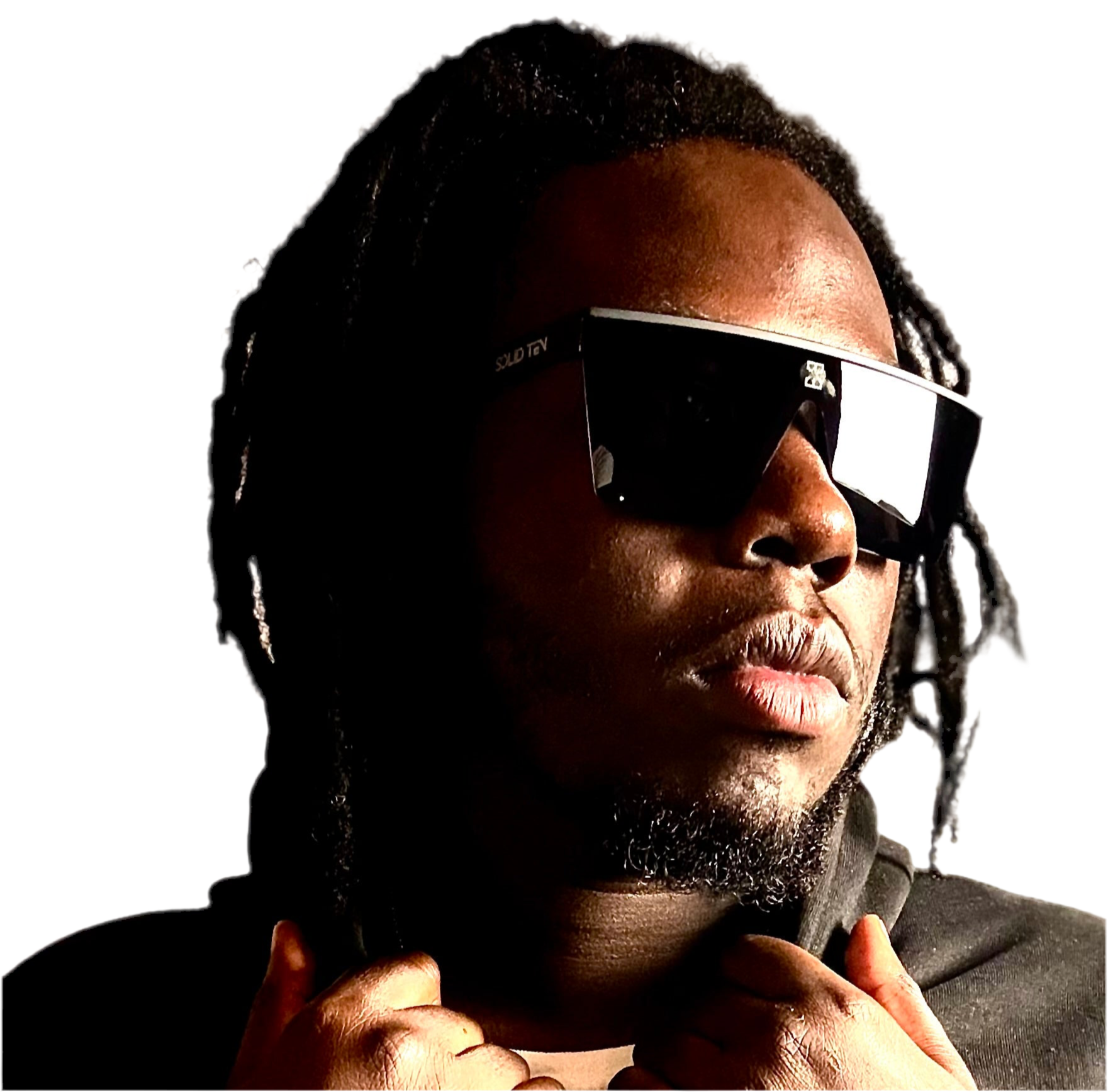 POLARIZED SHADES