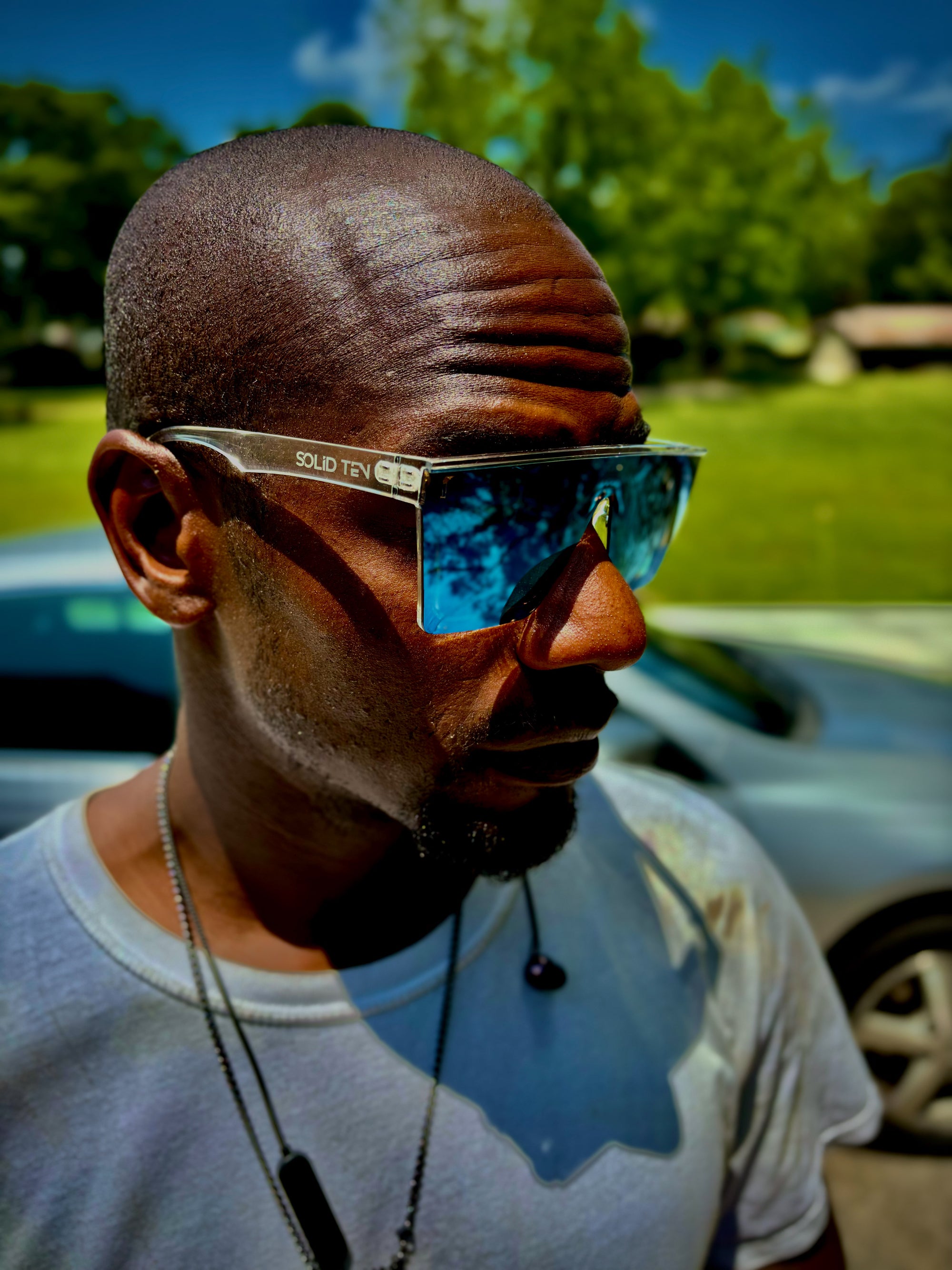 POLARIZED SHADES