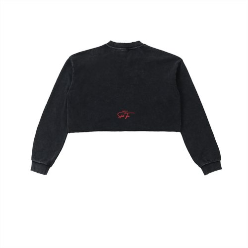 AALIYAH  "THE PRINCESS OF R&B"  SWEATSHIRT